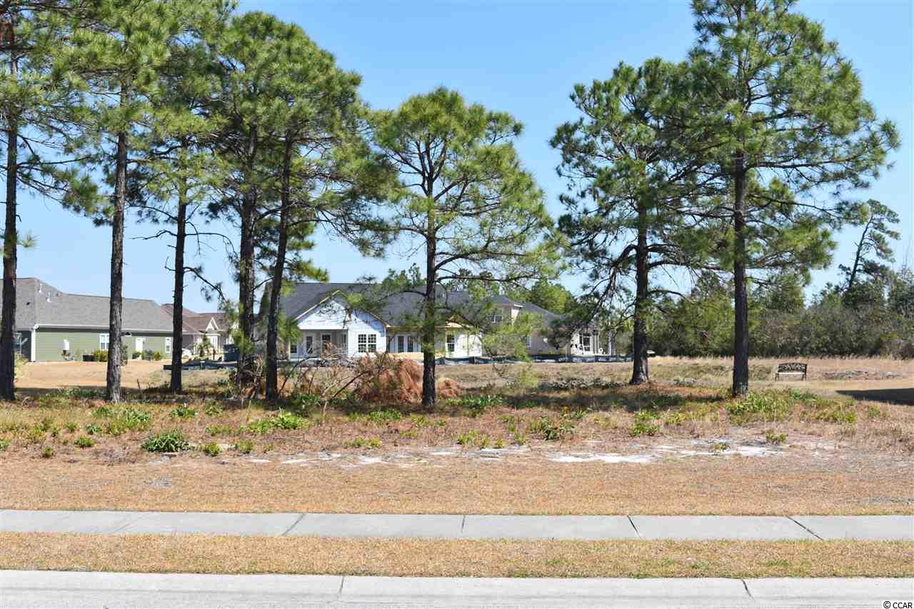 Lot 119Sand Binder Drive, Myrtle Beach, SC 29579