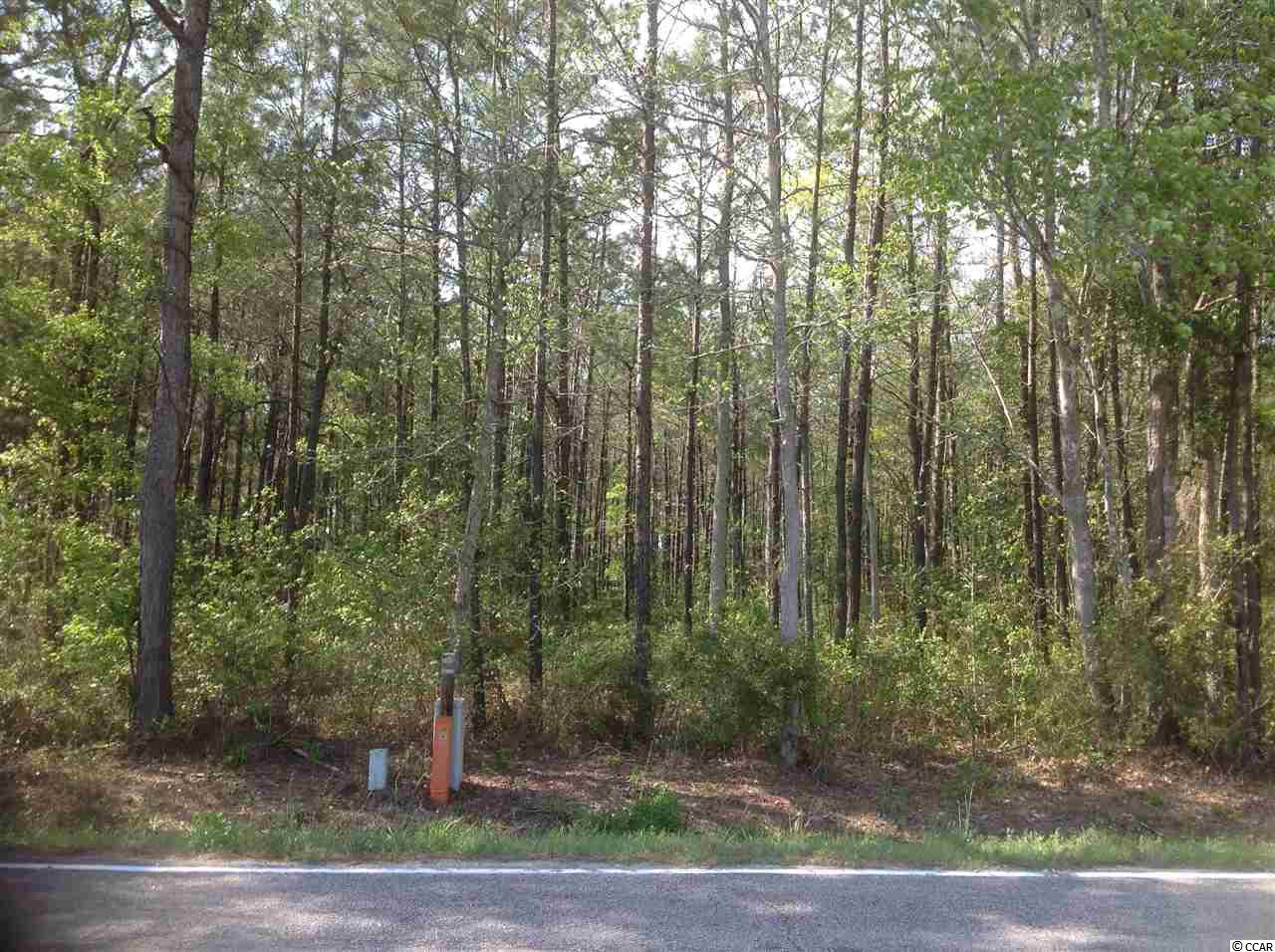 McCutheon Tract Burcale Road, Myrtle Beach, SC 29579