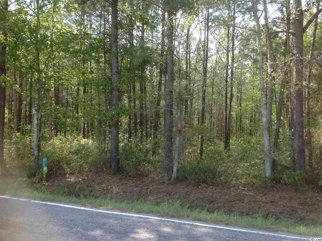 McCutheon Tract Burcale Road, Myrtle Beach, SC 29579