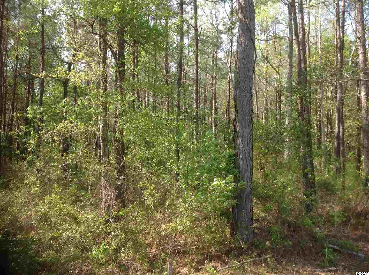 McCutheon Tract Burcale Road, Myrtle Beach, SC 29579