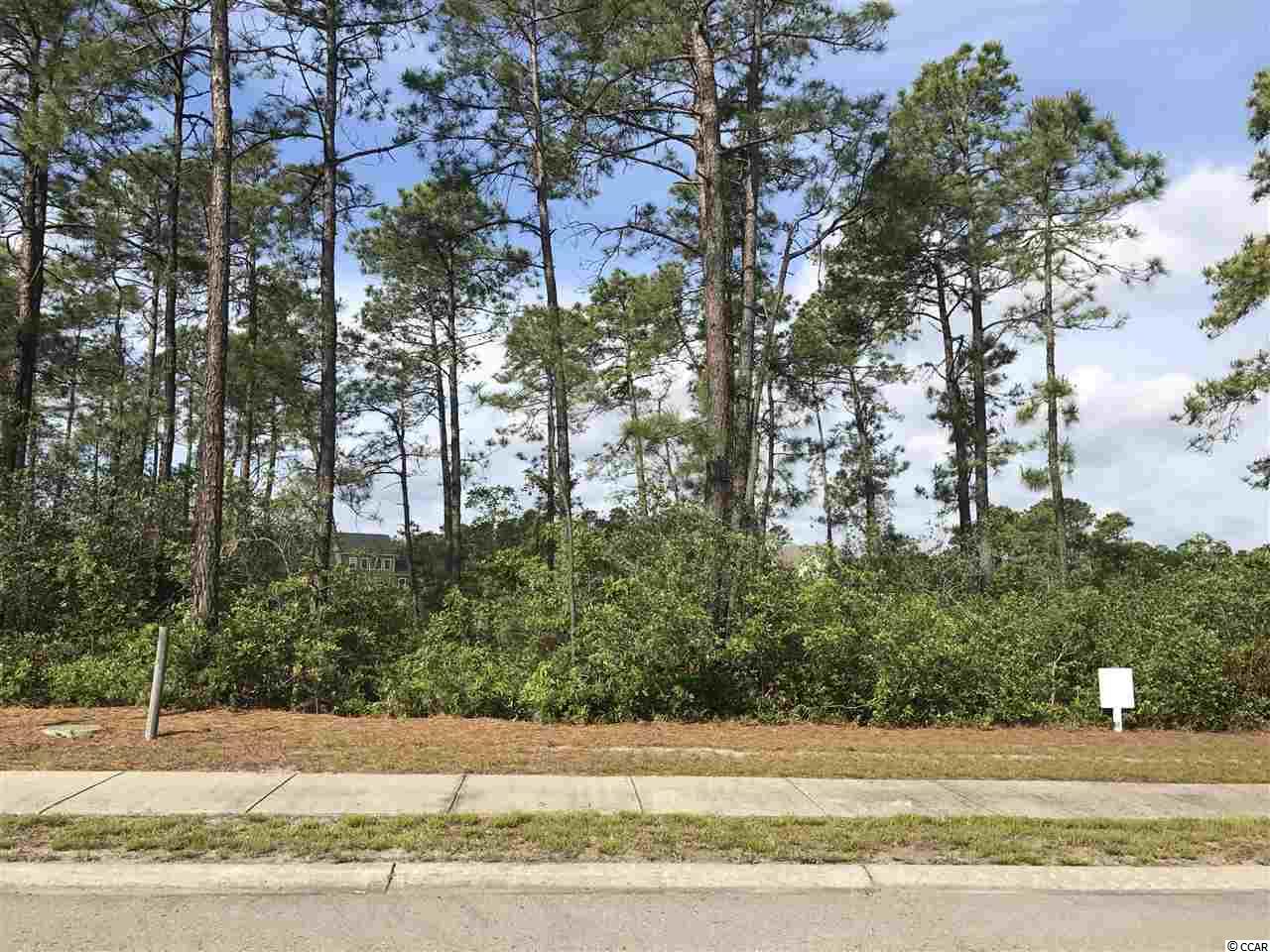 1049Englemann Oaks Dr, Myrtle Beach, SC 29579