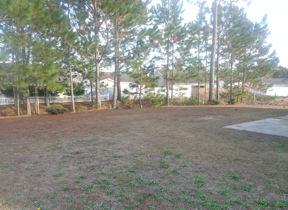 8224 Autumn Pond CtMyrtle Beach, SC, 29579Horry County