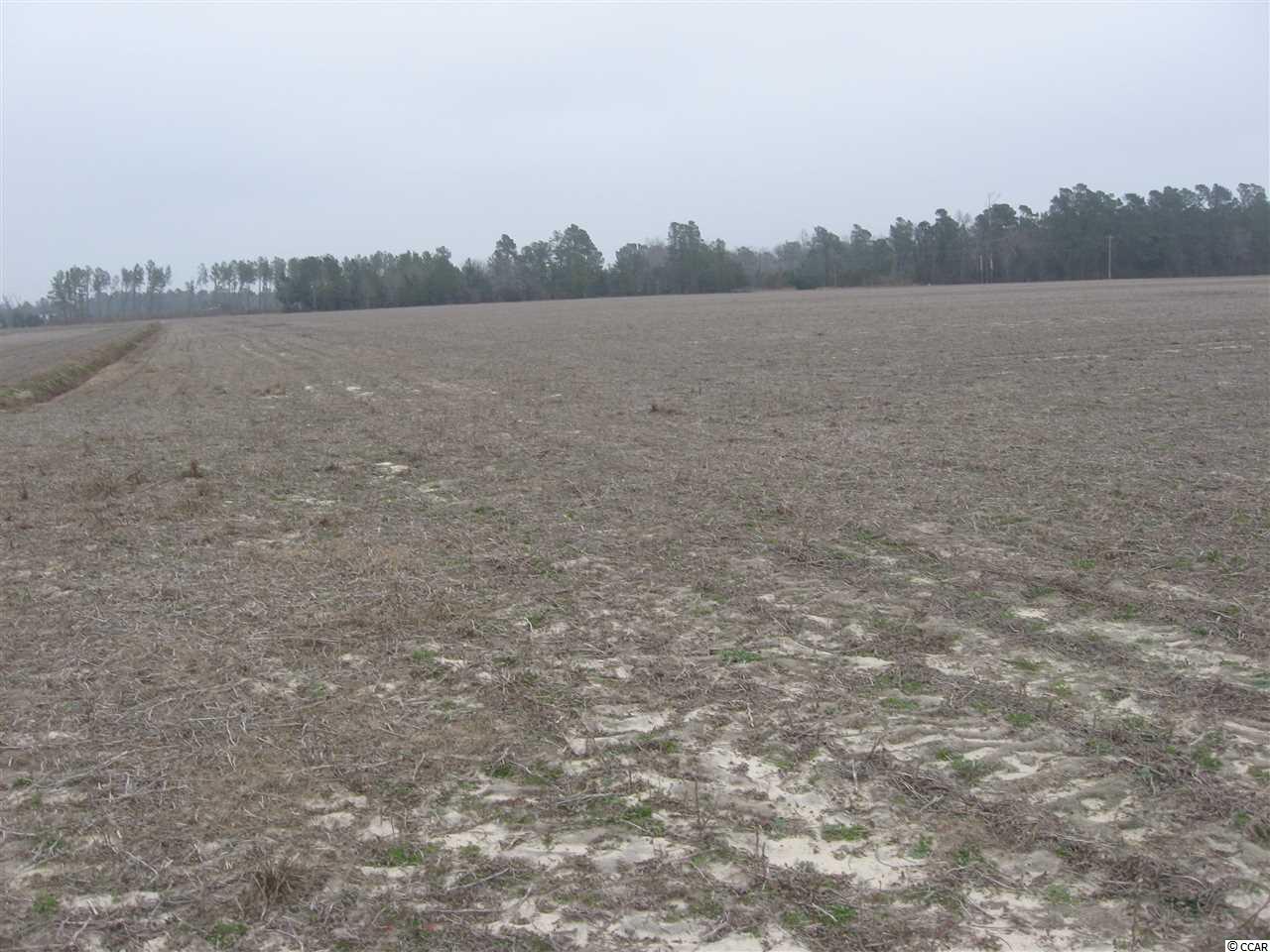 TBDShelley Lane Tract 1, Nichols, SC 29581