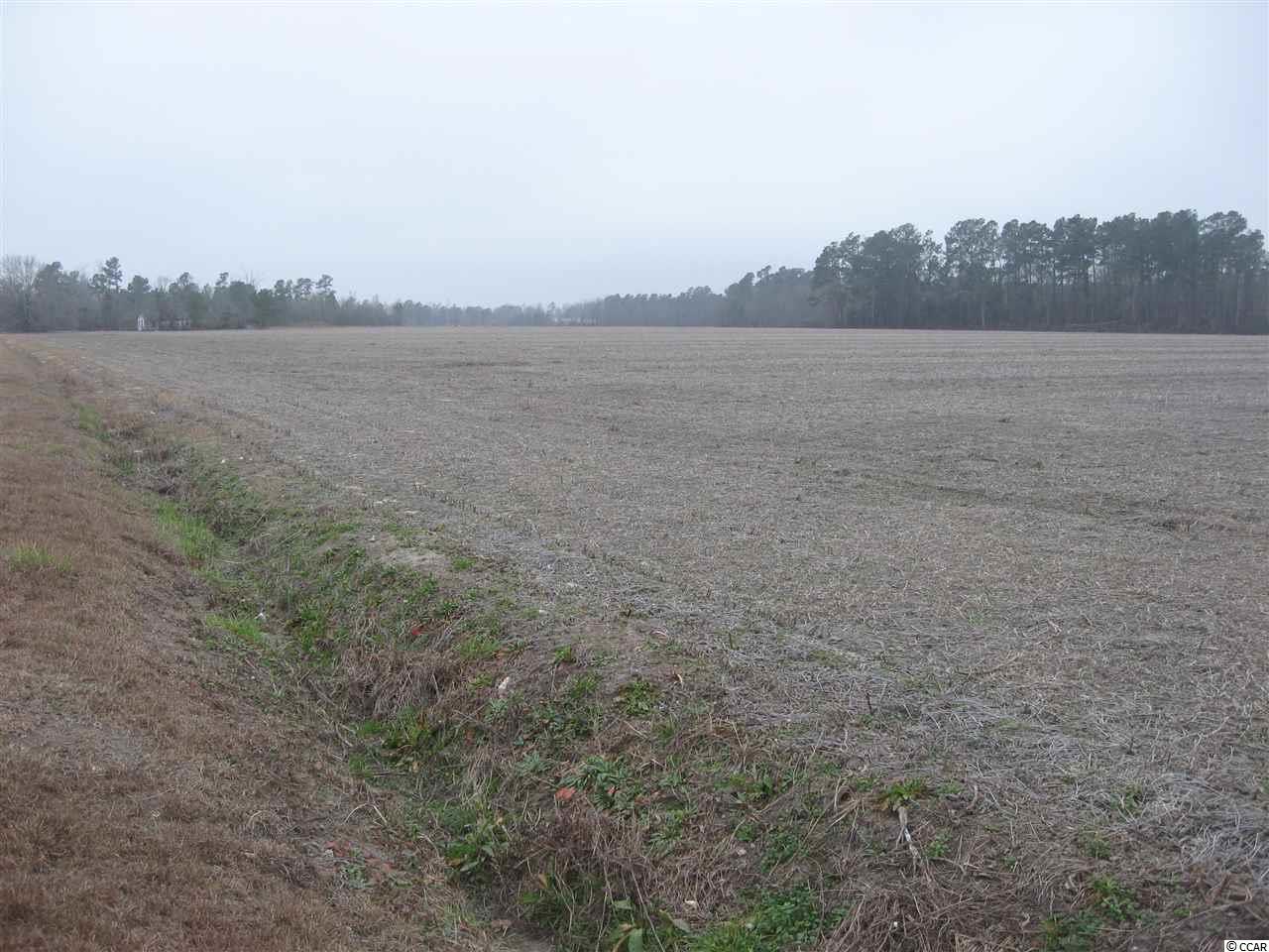 TBDShelley Lane Tract 1, Nichols, SC 29581