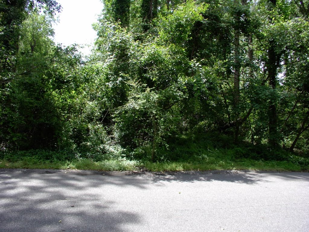 2409 Wiley Drive, North Myrtle Beach, SC 29582