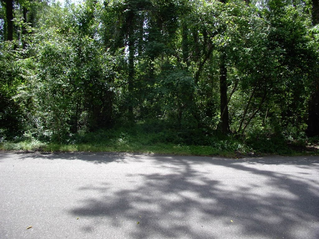 2409 Wiley Drive, North Myrtle Beach, SC 29582