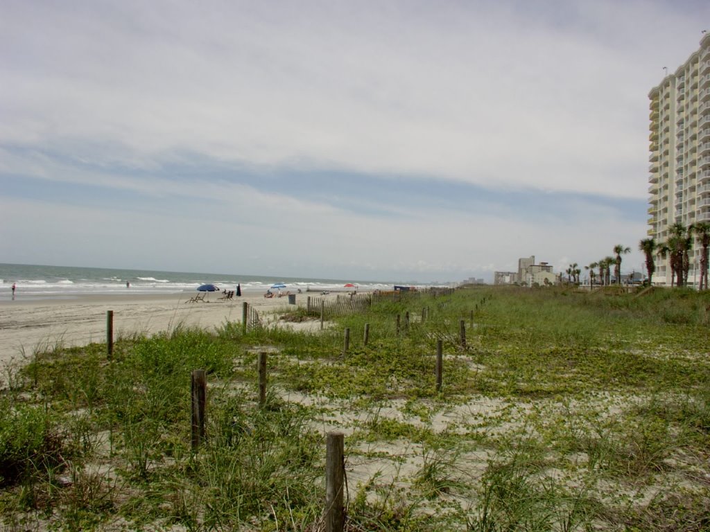 2409 Wiley Drive, North Myrtle Beach, SC 29582
