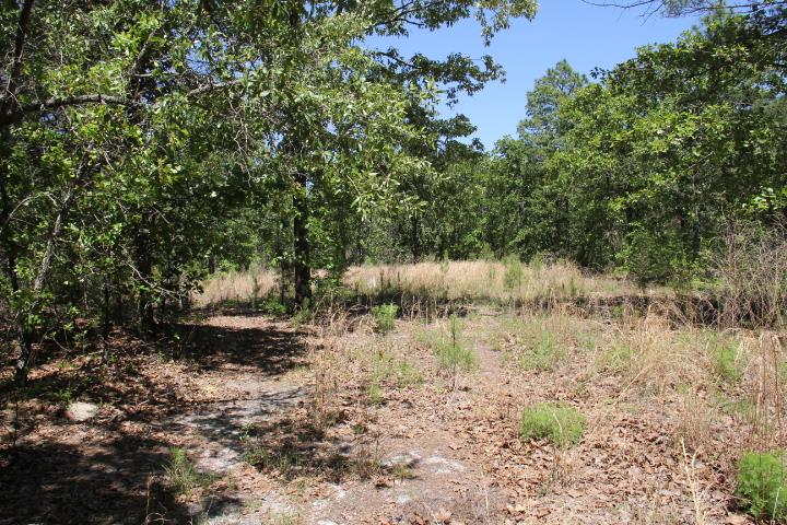201 Ousleydale Hwy, Patrick, SC 29584