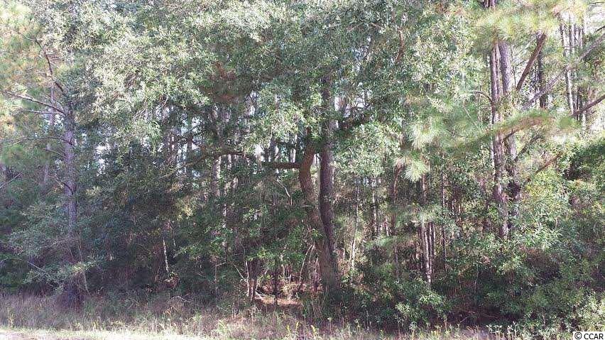 Lot 26Stamper Trail, Pawleys Island, SC 29585