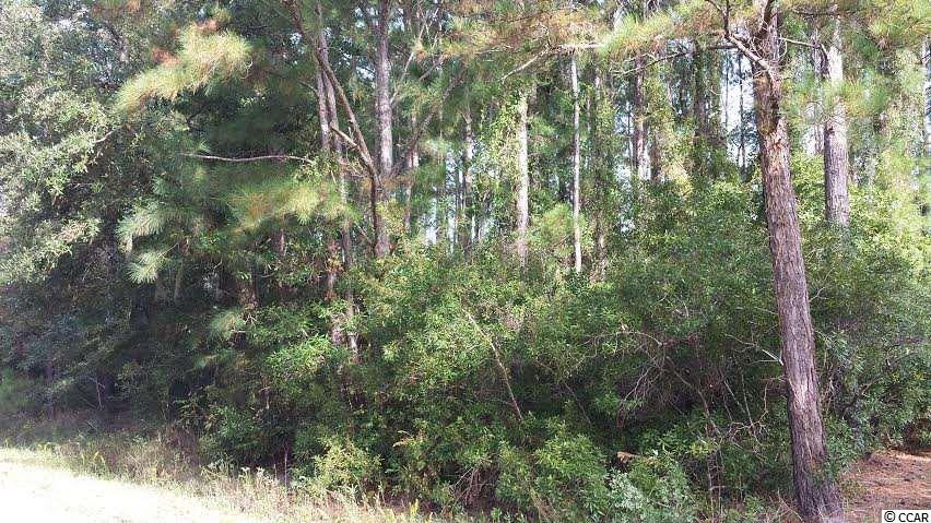 Lot 26Stamper Trail, Pawleys Island, SC 29585