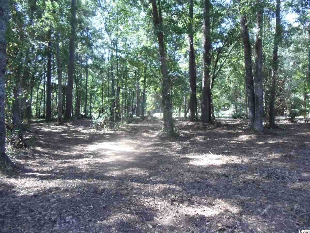 Lot 27Georgetown Drive, Pawleys Island, SC 29585
