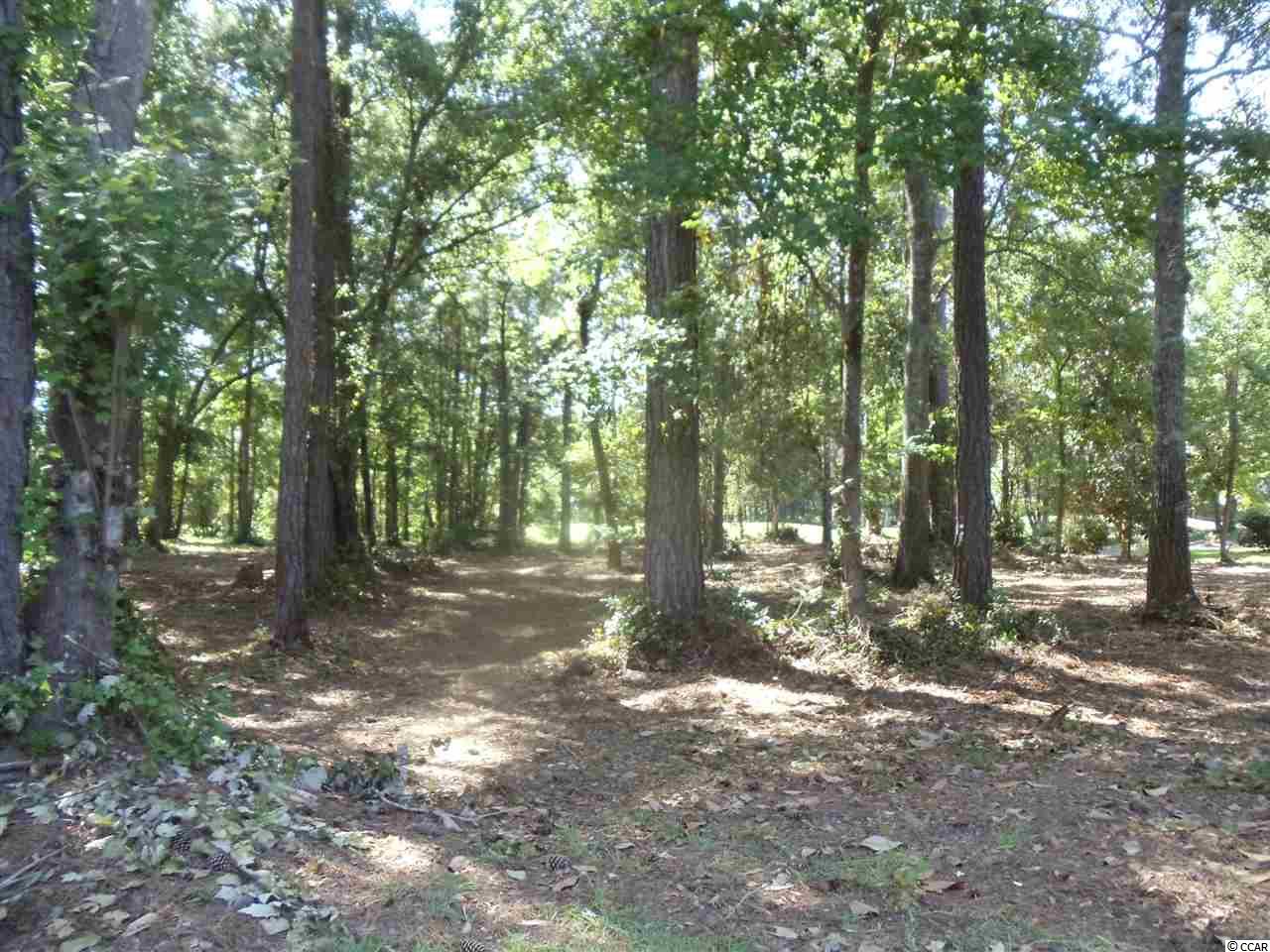 Lot 27Georgetown Drive, Pawleys Island, SC 29585