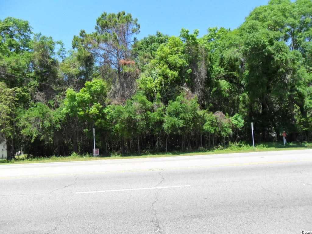 00OCEAN HIGHWAY, Pawleys Island, SC 29585