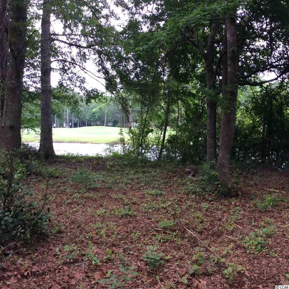Lot 24Old Augusta, Pawleys Island, SC 29585