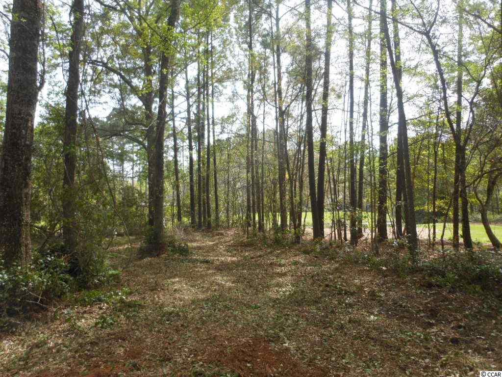 Lot 24Old Augusta, Pawleys Island, SC 29585