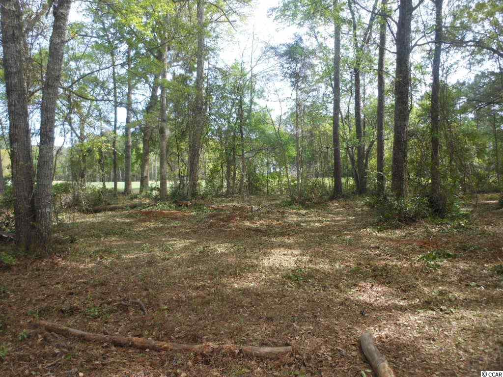 Lot 24Old Augusta, Pawleys Island, SC 29585
