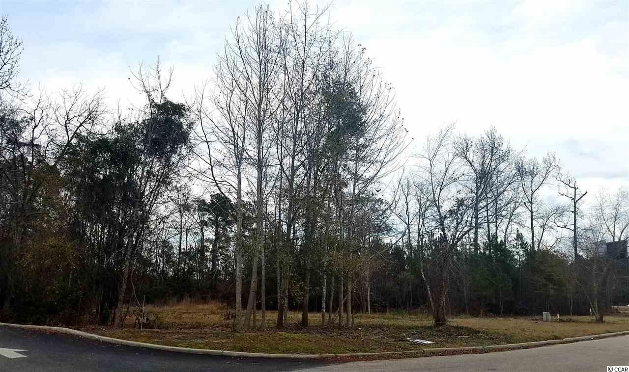 LOT 4CO-OP ROAD, Myrtle Beach, SC 29588
