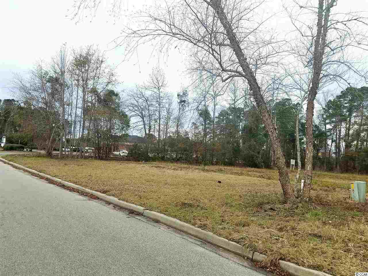 LOT 4CO-OP ROAD, Myrtle Beach, SC 29588