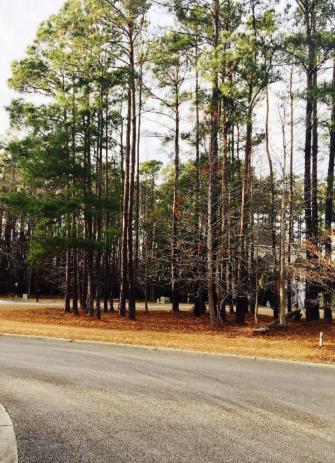 Lot 14 Harbor Oaks Marina, Myrtle Beach, SC 29588