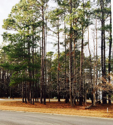 Lot 14 Harbor Oaks Marina, Myrtle Beach, SC 29588