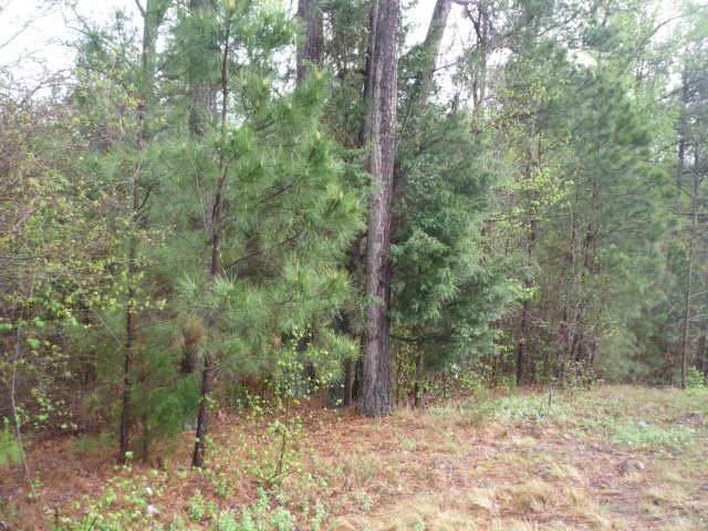 0 hWY 72, Abbeville, SC 29620