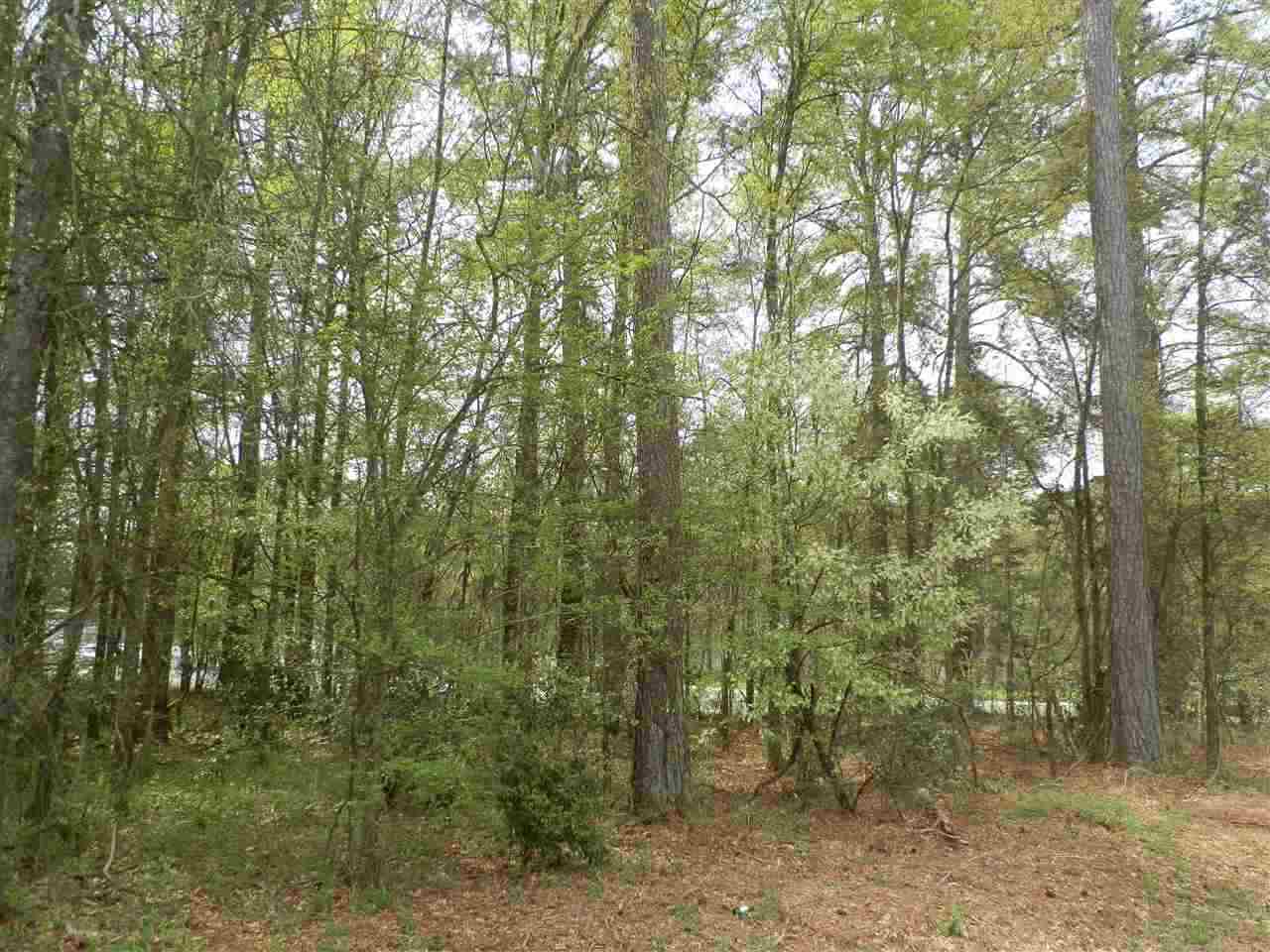 Lot 1Brown Road, Anderson, SC 29621