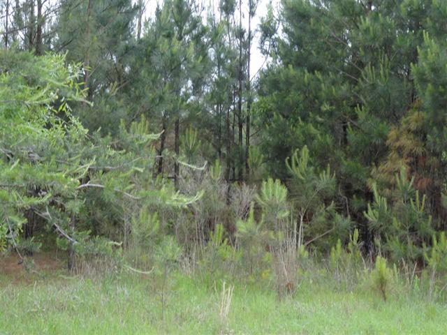 00 Hwy 81 North, Anderson, SC 29621