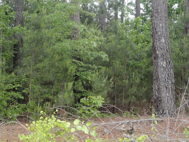 00 Hwy 81 North, Anderson, SC 29621