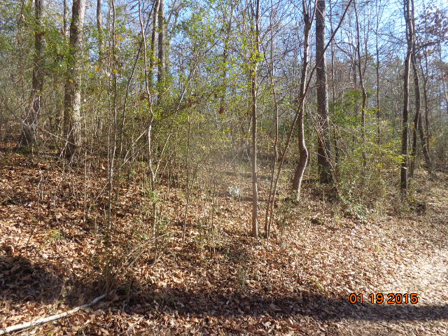 00 Tract A, Anderson, SC 29621