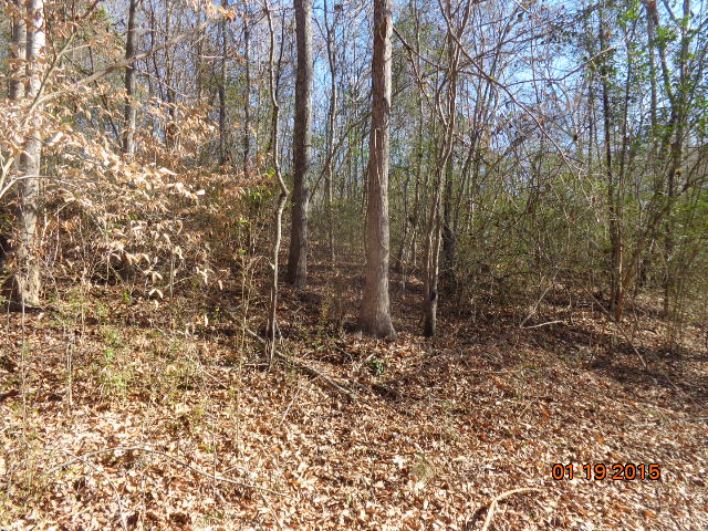 00 Tract A, Anderson, SC 29621