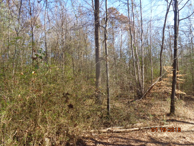 00 Tract A, Anderson, SC 29621