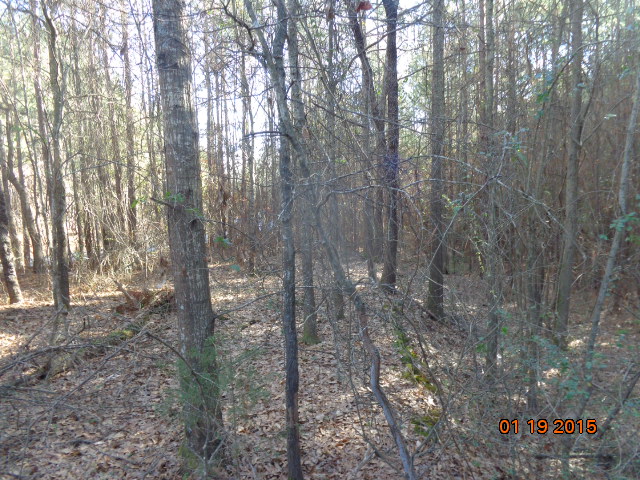 00 Tract A, Anderson, SC 29621
