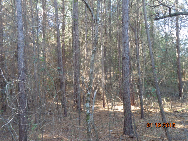 00 Tract A, Anderson, SC 29621