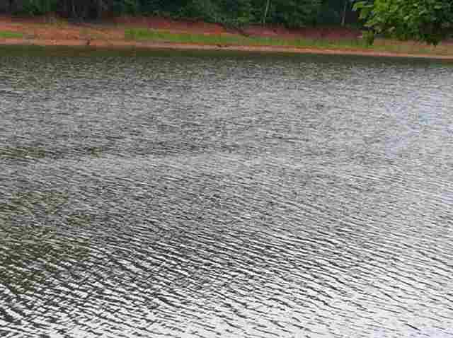 338ACannRoad, Anderson, SC 29625