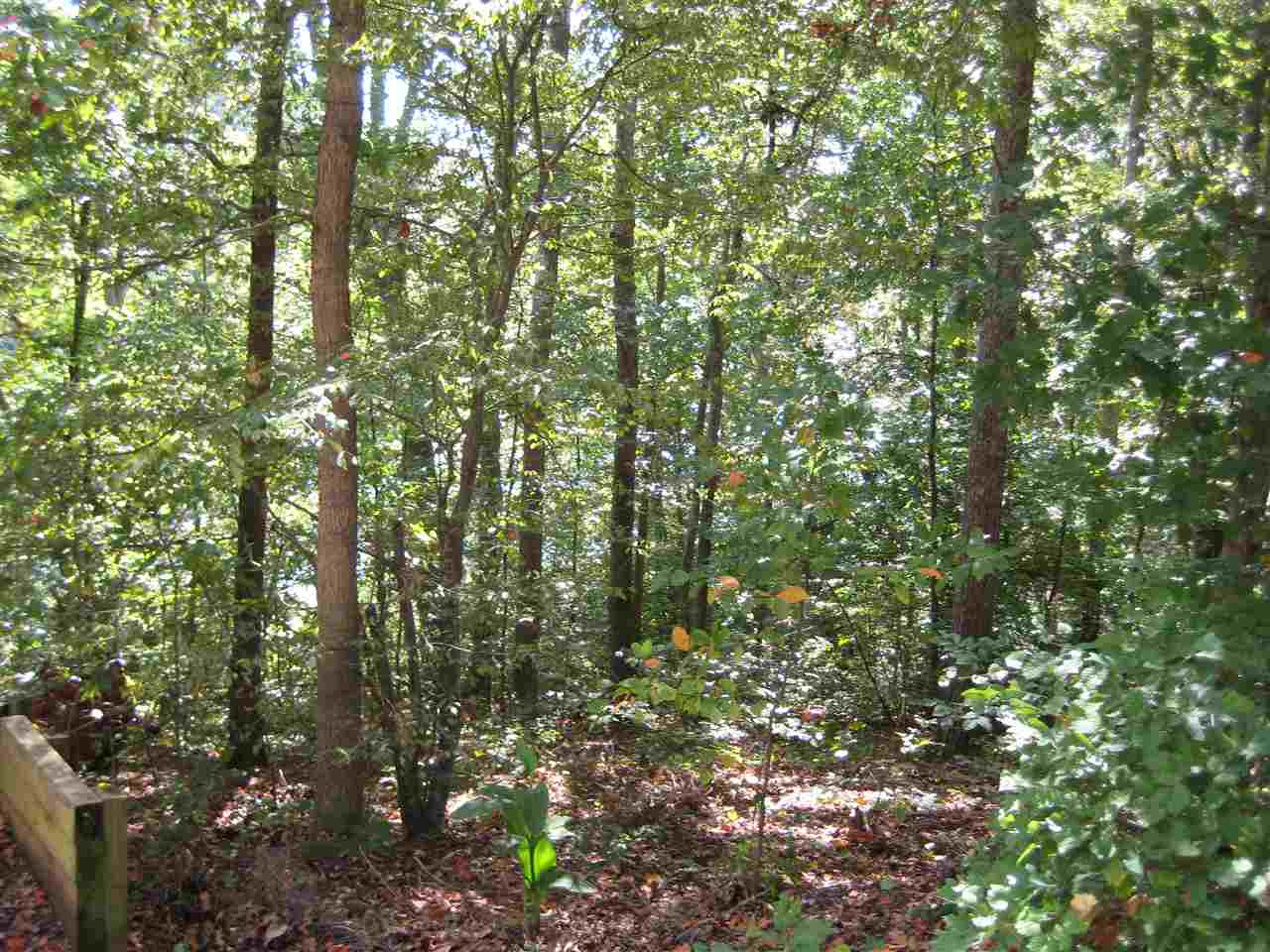 209Sandy Point Drive, Anderson, SC 29625