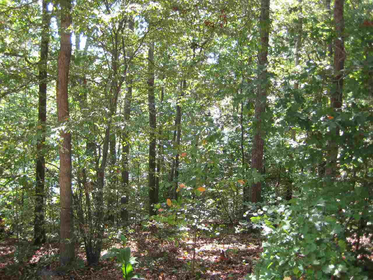 209Sandy Point Drive, Anderson, SC 29625