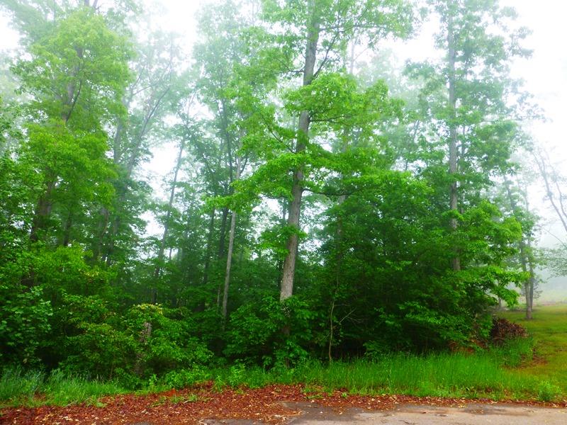 Lots 4,5,6Valley Dale Drive, Anderson, SC 29625