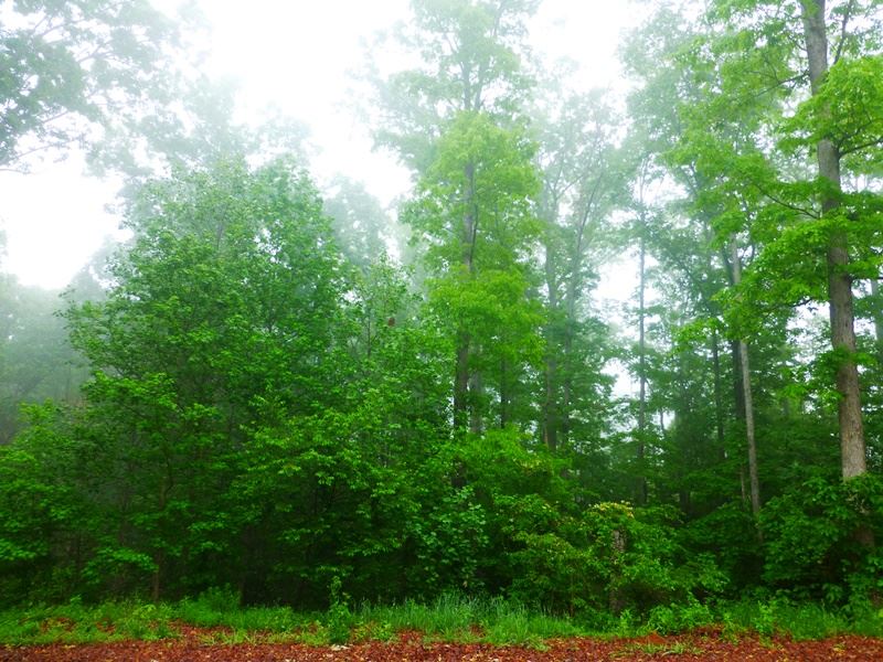 Lots 4,5,6Valley Dale Drive, Anderson, SC 29625