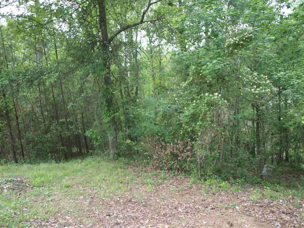 170Green Tree Rd, Anderson, SC 29626