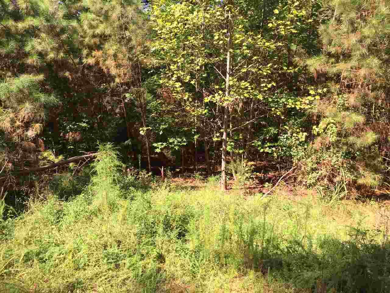 Madden Bridge, Central, SC 29630