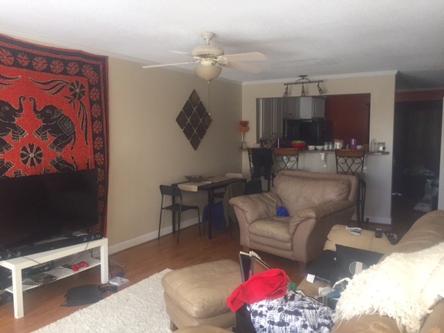 103Calhoun Street, Clemson, SC 29631