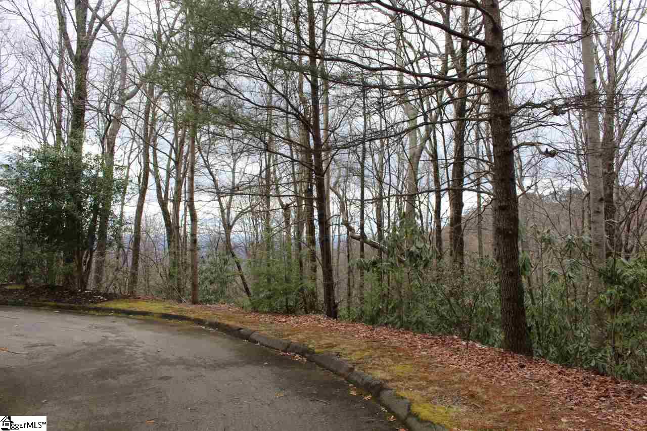 136 Birchbend, Cleveland, SC 29635