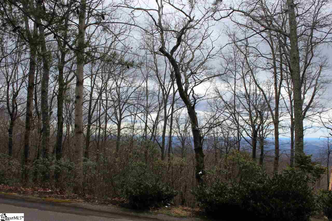 136 Birchbend, Cleveland, SC 29635