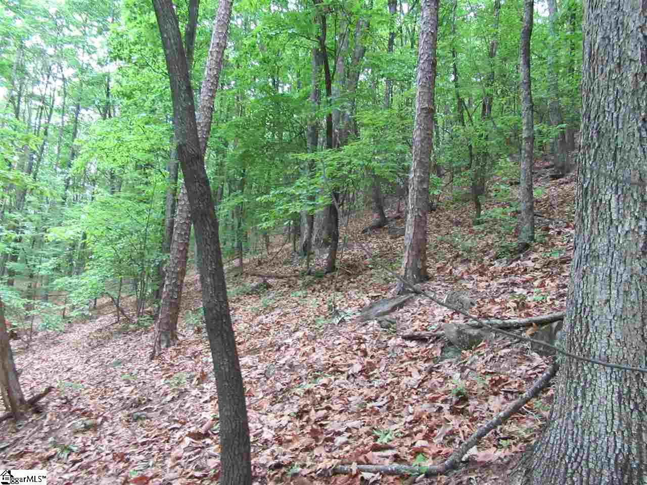 Mountain Ridge Estates, Cleveland, SC 29635