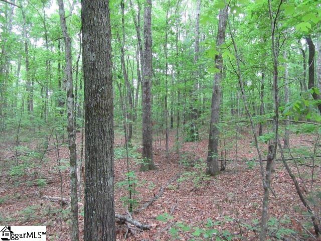 Mountain Ridge Estates, Cleveland, SC 29635