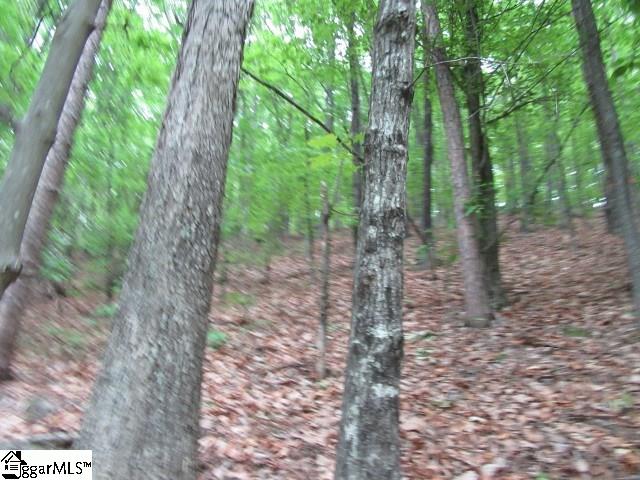 Mountain Ridge Estates, Cleveland, SC 29635