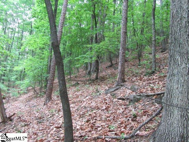 Mountain Ridge Estates, Cleveland, SC 29635