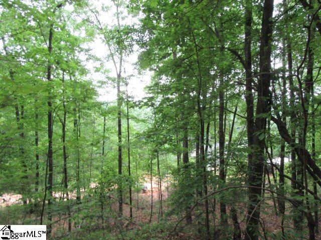 Mountain Ridge Estates, Cleveland, SC 29635