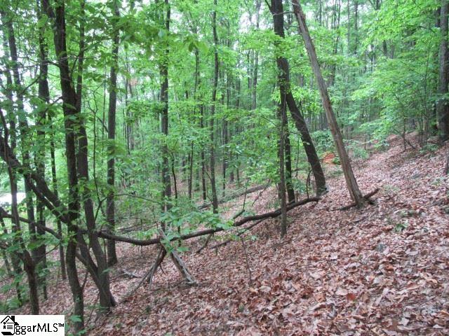 Mountain Ridge Estates, Cleveland, SC 29635