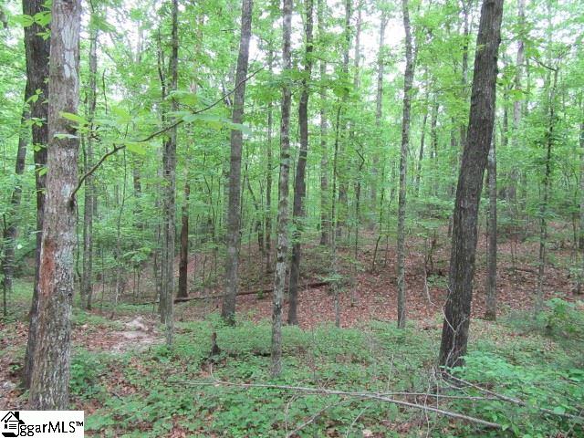 Mountain Ridge Estates Road, Cleveland, SC 29635